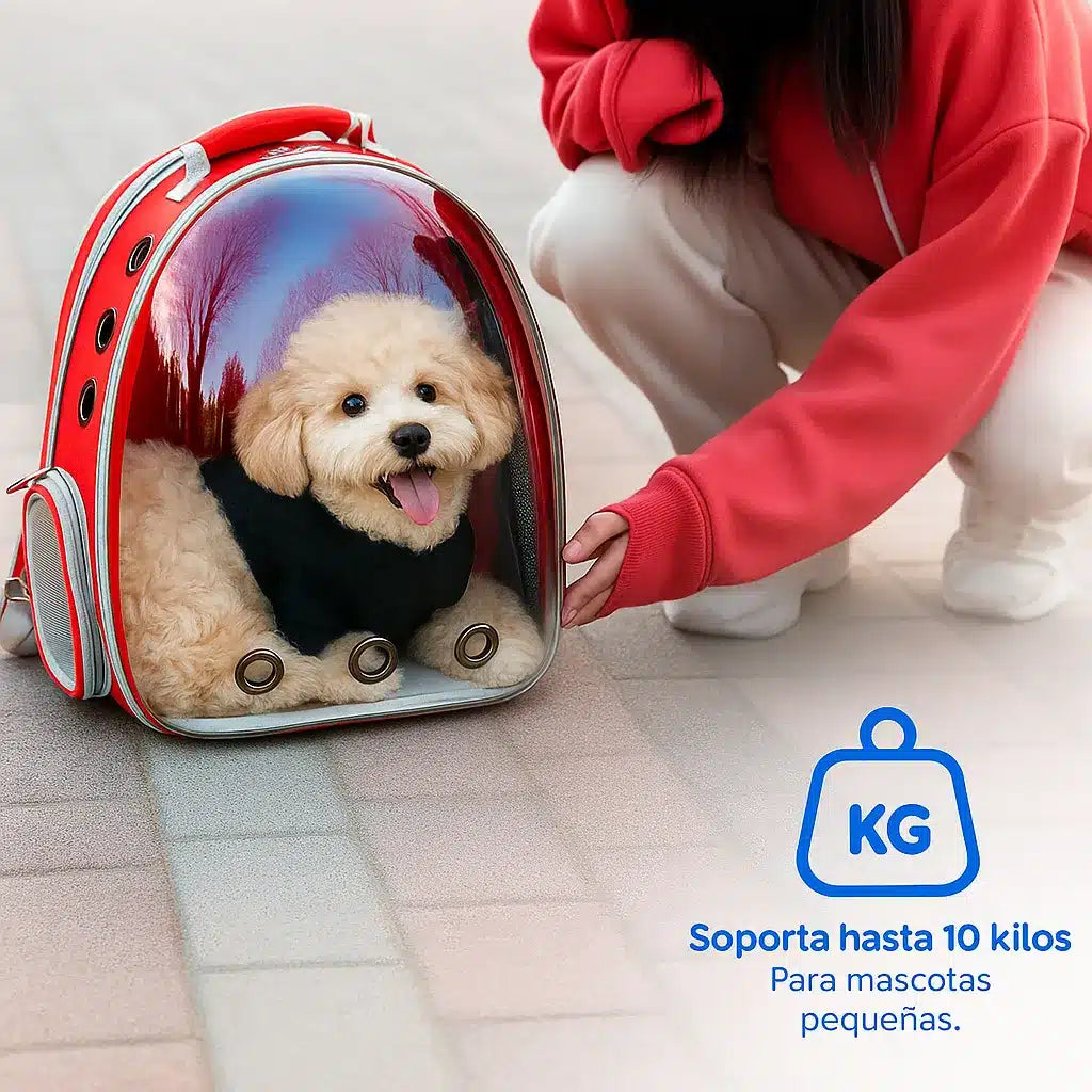 MOCHILA TRANSPARENTE DURA PARA MASCOTA 41.5 X 23 CM
