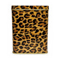 YERBERA ANIMAL PRINT