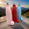 BOTELLA DEPORTIVA 500ML COLOR ACERO 304 2404-2
